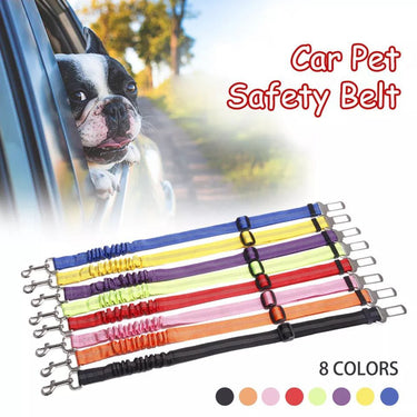 Correa de Seguridad Pet Auto Retractil